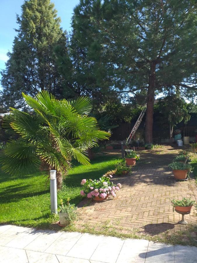 Antica Cascina B&B Borghetto Lodigiano Bagian luar foto