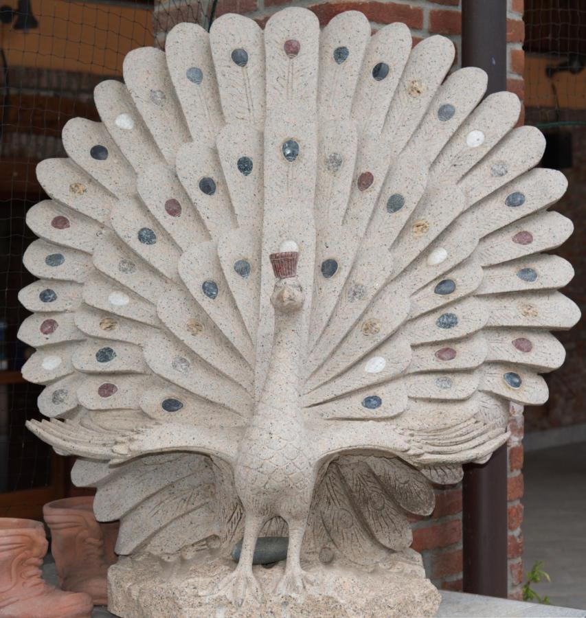 Antica Cascina B&B Borghetto Lodigiano Bagian luar foto